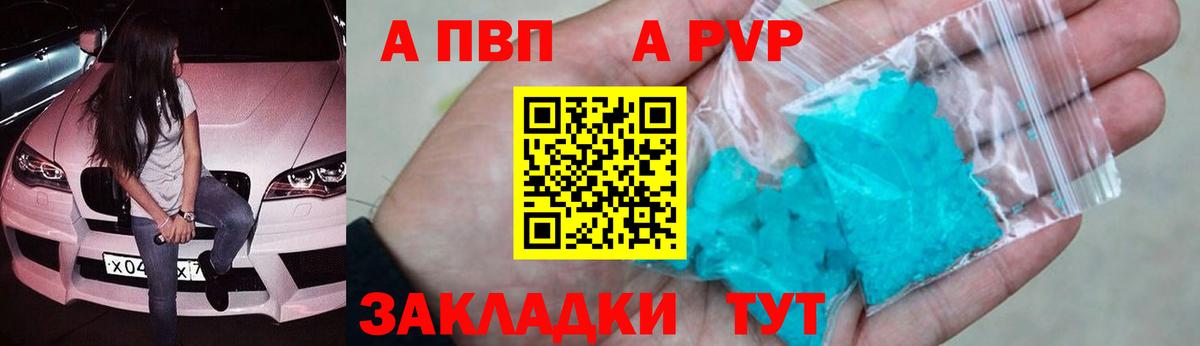 Альфа ПВП СК КРИС Майкоп