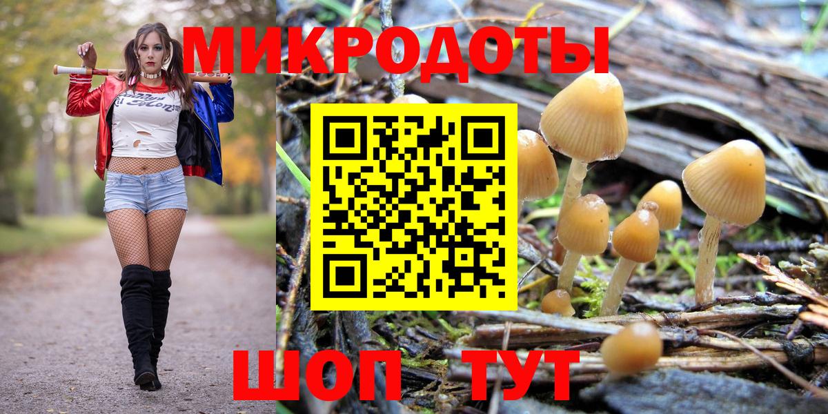 купить  цена  Галлюциногенные грибы Psilocybine cubensis  Майкоп  Вход с VPN  Псилоцибиновые грибы Psilocybine cubensis 