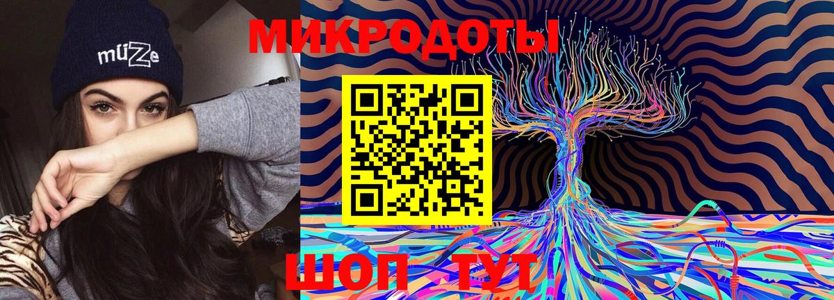 Псилоцибиновые грибы Cubensis Майкоп
